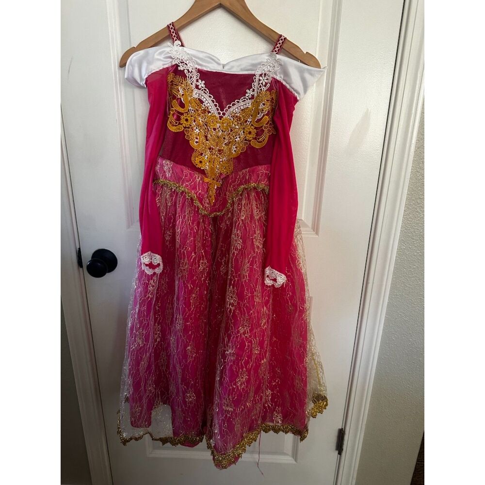Sleeping Beauty Costume Size 8-10